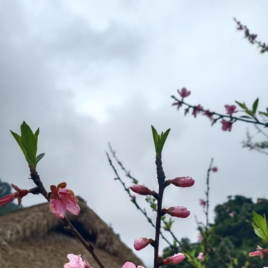 Dao Homestay Hoang Su Phi Eksteriør billede