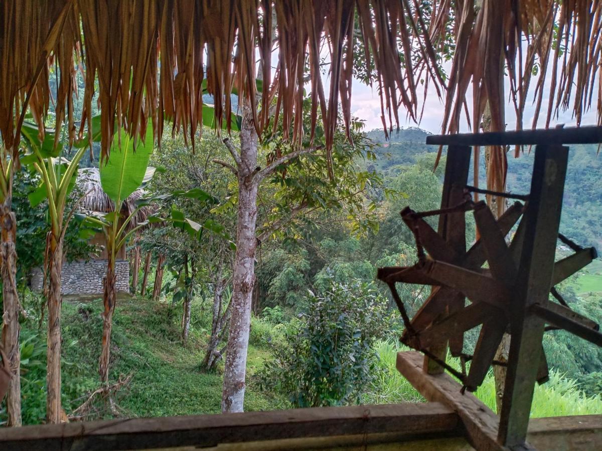Dao Homestay Hoang Su Phi Eksteriør billede
